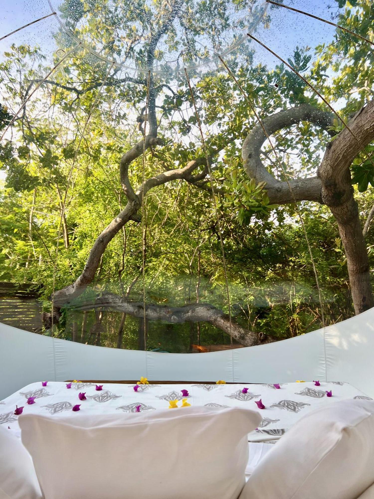Rock And Sea Resort 瓦塔穆 外观 照片